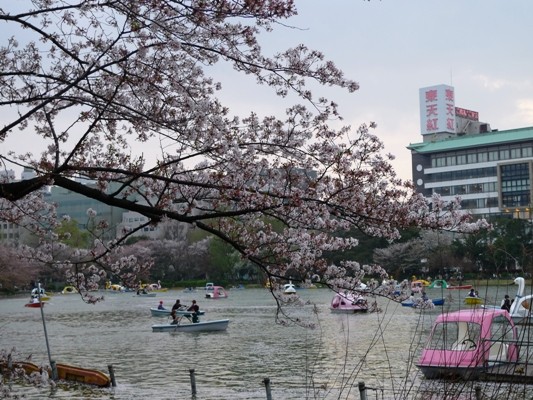 f:id:noir555:20100411165510j:image f:id:noir555:20100411165510j:image