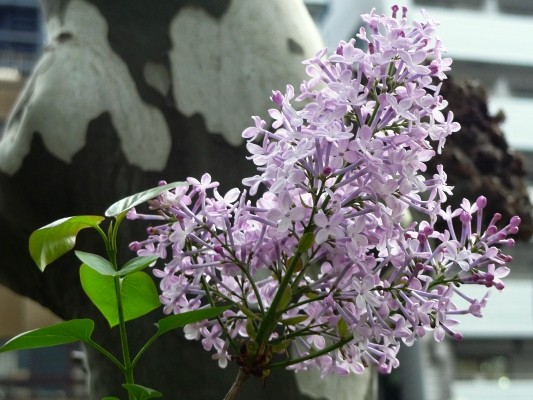 f:id:noir555:20100411172507j:image f:id:noir555:20100411172507j:image