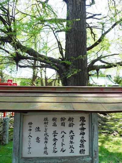 f:id:noir555:20100425133317j:image f:id:noir555:20100425133317j:image