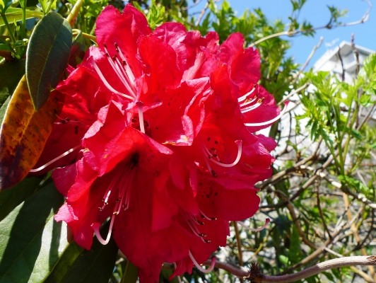 f:id:noir555:20100425143609j:image f:id:noir555:20100425143609j:image