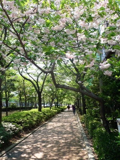 f:id:noir555:20100502135303j:image f:id:noir555:20100502135303j:image