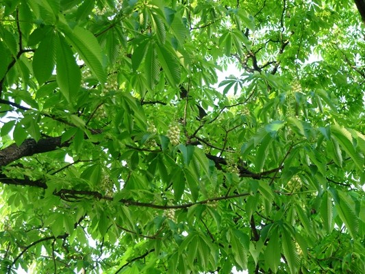 f:id:noir555:20100502162254j:image f:id:noir555:20100502162254j:image