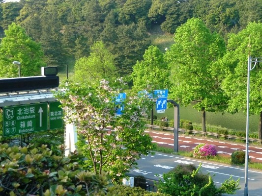 f:id:noir555:20100502165544j:image f:id:noir555:20100502165544j:image