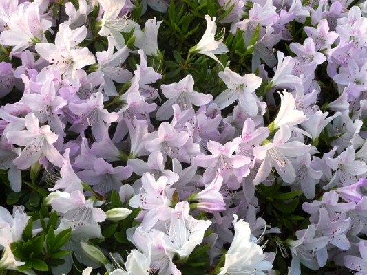 f:id:noir555:20100502172243j:image f:id:noir555:20100502172243j:image