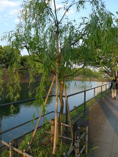 f:id:noir555:20100502172851j:image f:id:noir555:20100502172851j:image