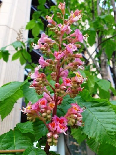 f:id:noir555:20100502174149j:image f:id:noir555:20100502174149j:image