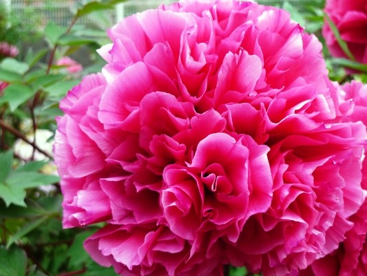 f:id:noir555:20100503171608j:image