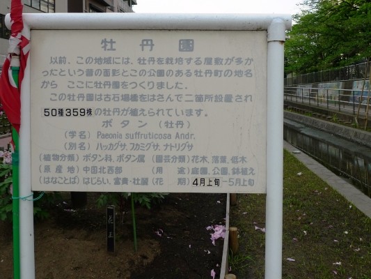 f:id:noir555:20100503172340j:image
