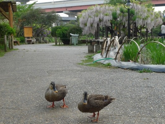 f:id:noir555:20100504165002j:image f:id:noir555:20100504165002j:image