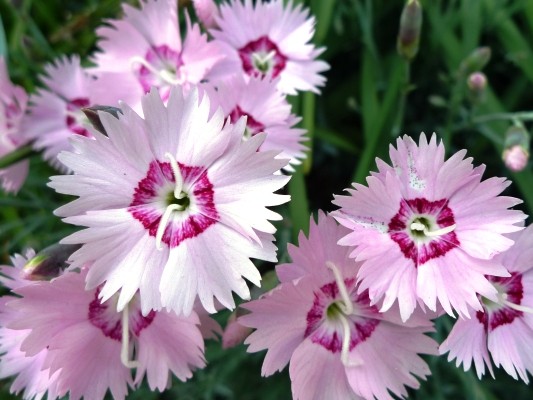 f:id:noir555:20100505154739j:image f:id:noir555:20100505154739j:image