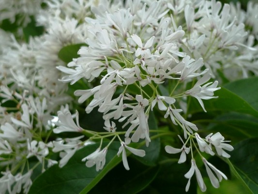f:id:noir555:20100508172128j:image