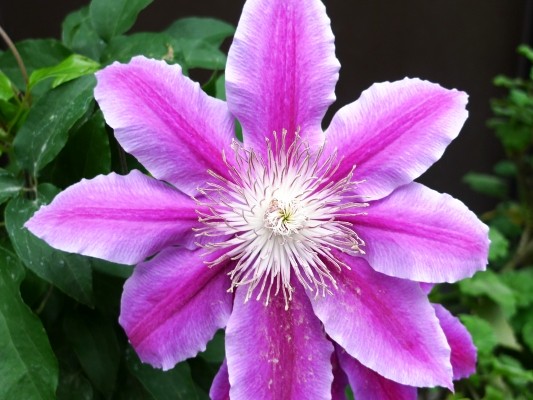 f:id:noir555:20100508173744j:image