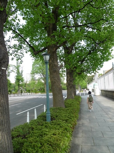 f:id:noir555:20100509155035j:image f:id:noir555:20100509155035j:image