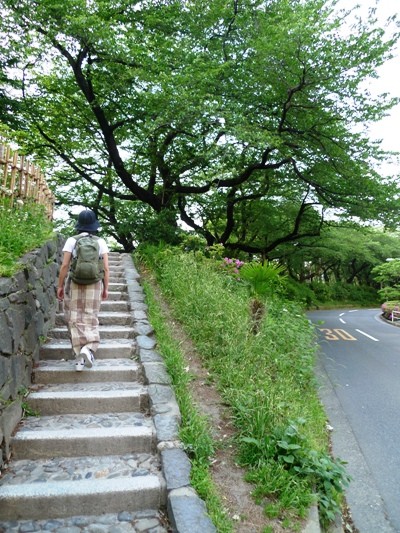 f:id:noir555:20100509162435j:image f:id:noir555:20100509162435j:image