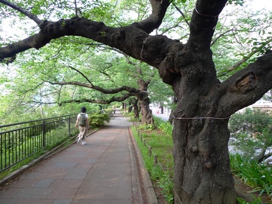 f:id:noir555:20100509164754j:image f:id:noir555:20100509164754j:image