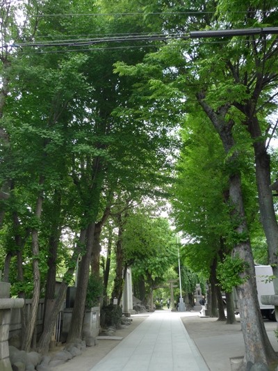 f:id:noir555:20100515154538j:image