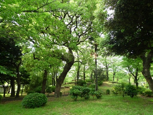 f:id:noir555:20100515161336j:image