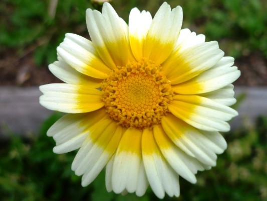 f:id:noir555:20100515163521j:image
