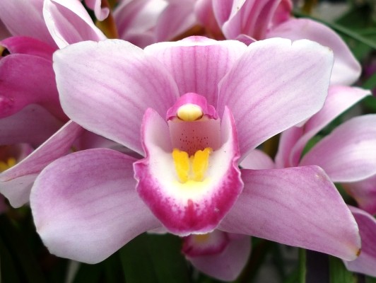 f:id:noir555:20100515165633j:image