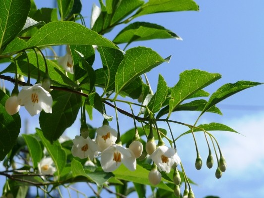 f:id:noir555:20100516143116j:image f:id:noir555:20100516143116j:image