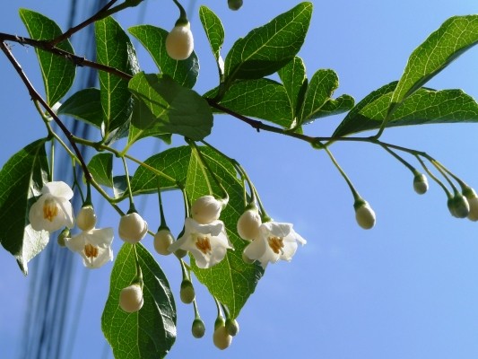 f:id:noir555:20100516143125j:image f:id:noir555:20100516143125j:image