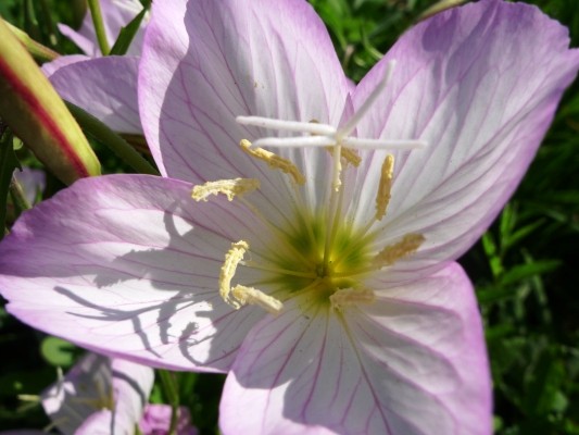 f:id:noir555:20100516150556j:image f:id:noir555:20100516150556j:image