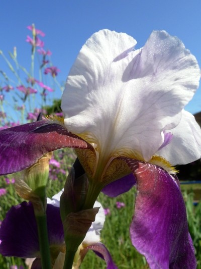 f:id:noir555:20100516150709j:image f:id:noir555:20100516150709j:image