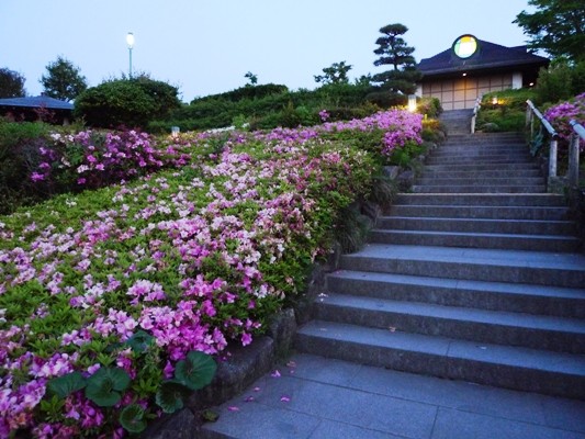 f:id:noir555:20100516184921j:image f:id:noir555:20100516184921j:image