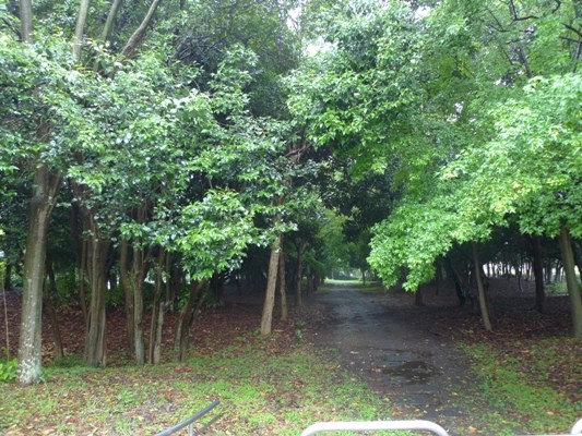 f:id:noir555:20100523152033j:image f:id:noir555:20100523152033j:image