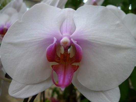 f:id:noir555:20100523153418j:image f:id:noir555:20100523153418j:image