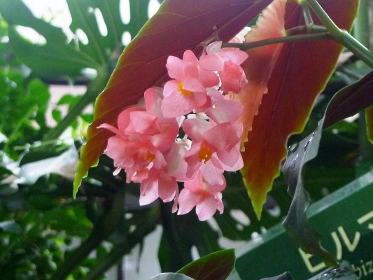 f:id:noir555:20100523154346j:image f:id:noir555:20100523154346j:image