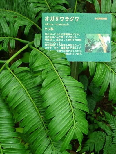 f:id:noir555:20100523154902j:image f:id:noir555:20100523154902j:image