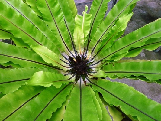 f:id:noir555:20100523155249j:image f:id:noir555:20100523155249j:image