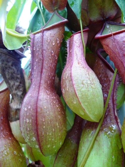 f:id:noir555:20100523155514j:image f:id:noir555:20100523155514j:image