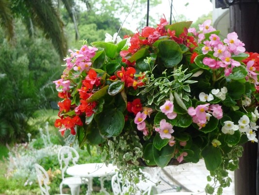 f:id:noir555:20100523161834j:image f:id:noir555:20100523161834j:image
