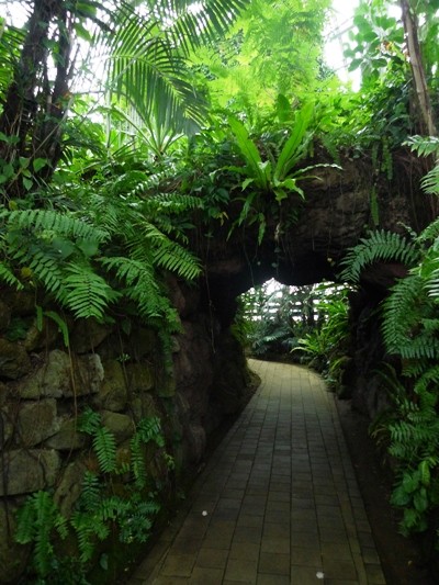 f:id:noir555:20100523162543j:image f:id:noir555:20100523162543j:image