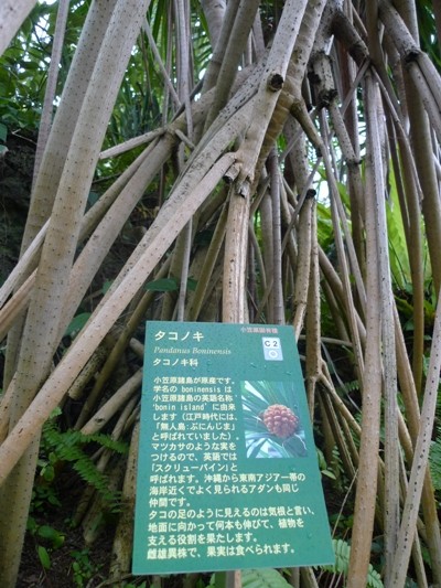 f:id:noir555:20100523162913j:image f:id:noir555:20100523162913j:image