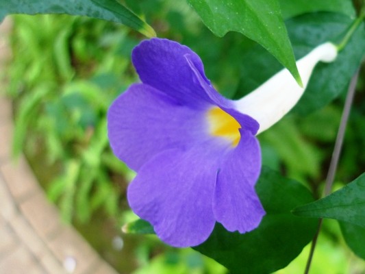 f:id:noir555:20100523163012j:image f:id:noir555:20100523163012j:image