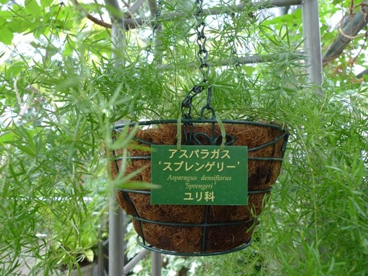 f:id:noir555:20100523163415j:image f:id:noir555:20100523163415j:image