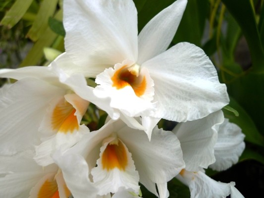 f:id:noir555:20100523164015j:image f:id:noir555:20100523164015j:image