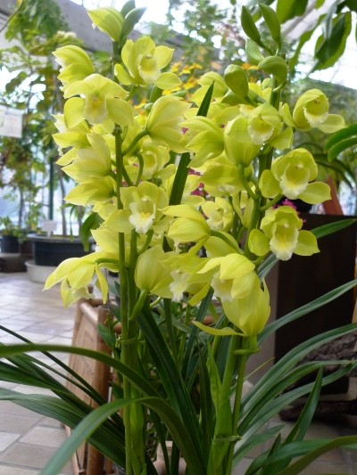 f:id:noir555:20100523164137j:image f:id:noir555:20100523164137j:image
