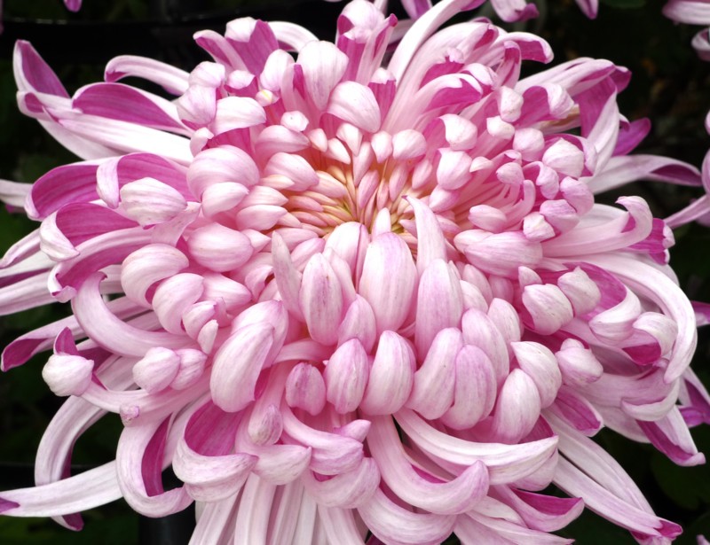 f:id:noir555:20111105144532j:image
