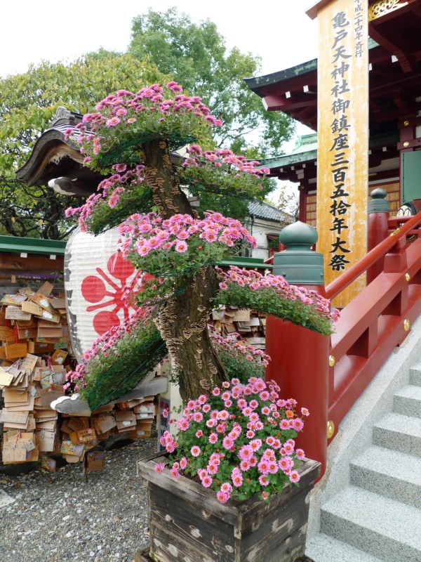 f:id:noir555:20111105152709j:image