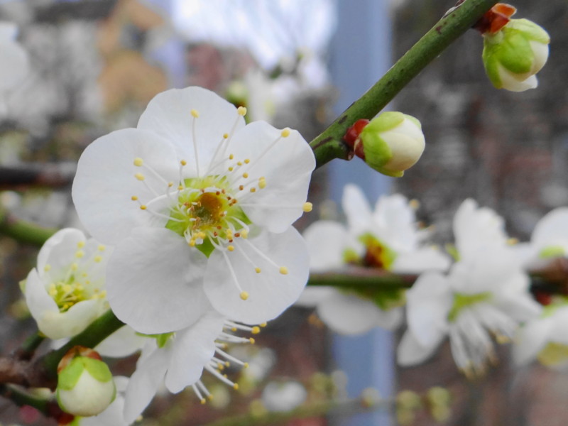 f:id:noir555:20120304013423j:image:w640