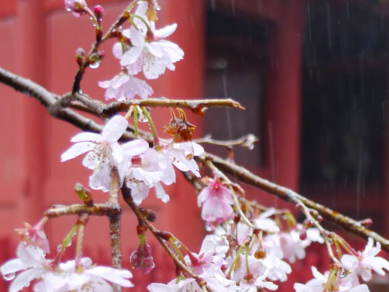 f:id:noir555:20120316224908j:image:w640