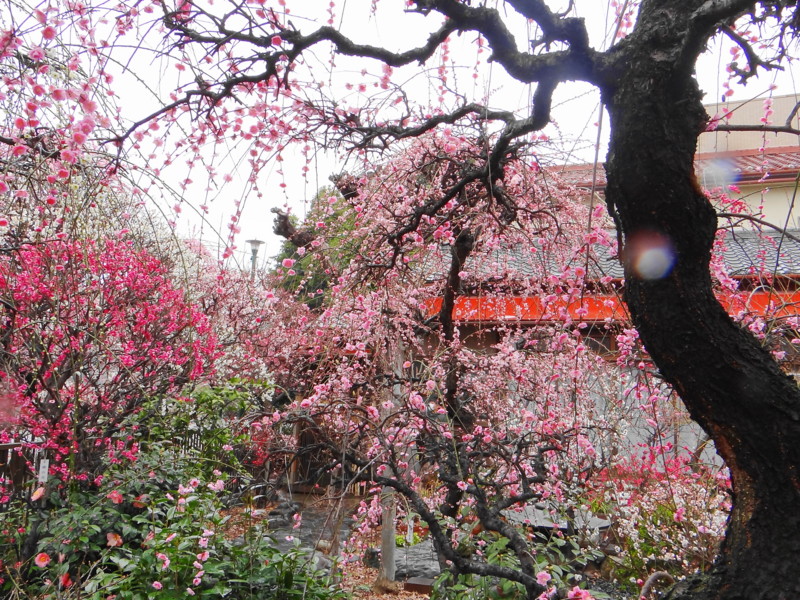 f:id:noir555:20120318234019j:image:w640