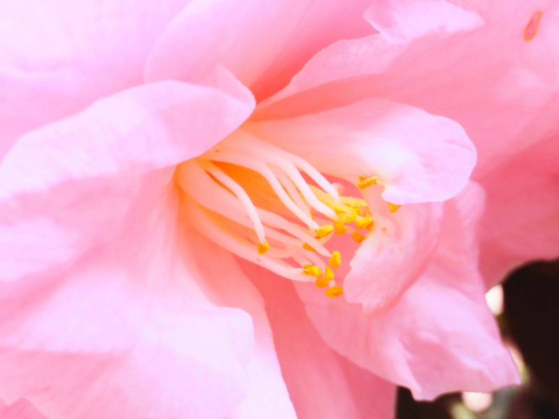 f:id:noir555:20120325193439j:image:w640