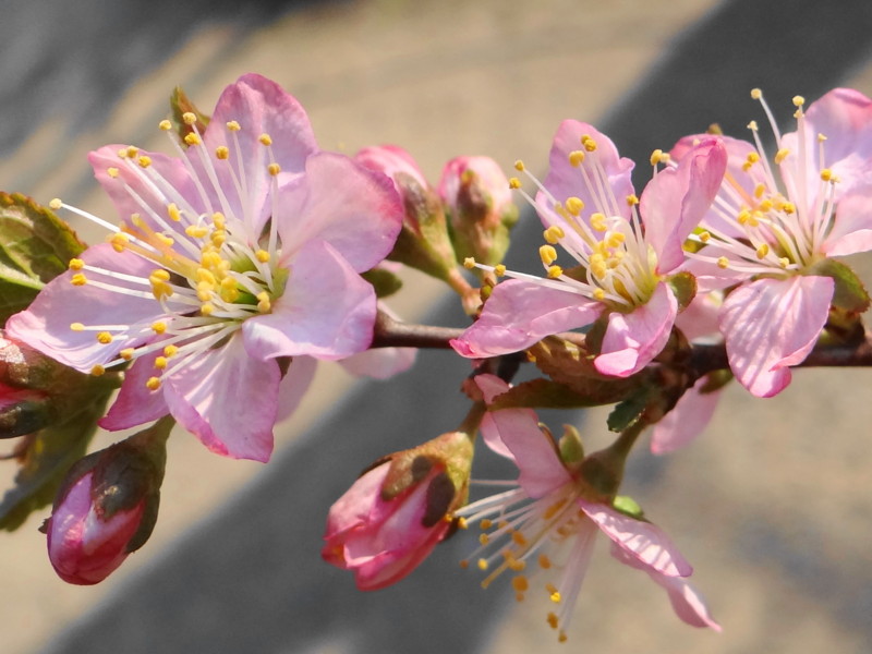 f:id:noir555:20120407205252j:image:w640