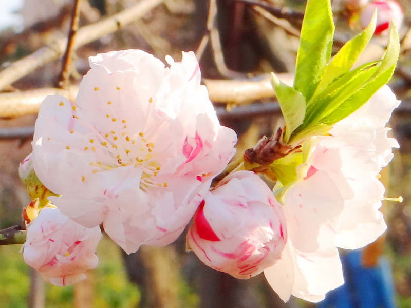 f:id:noir555:20120407205254j:image:w640