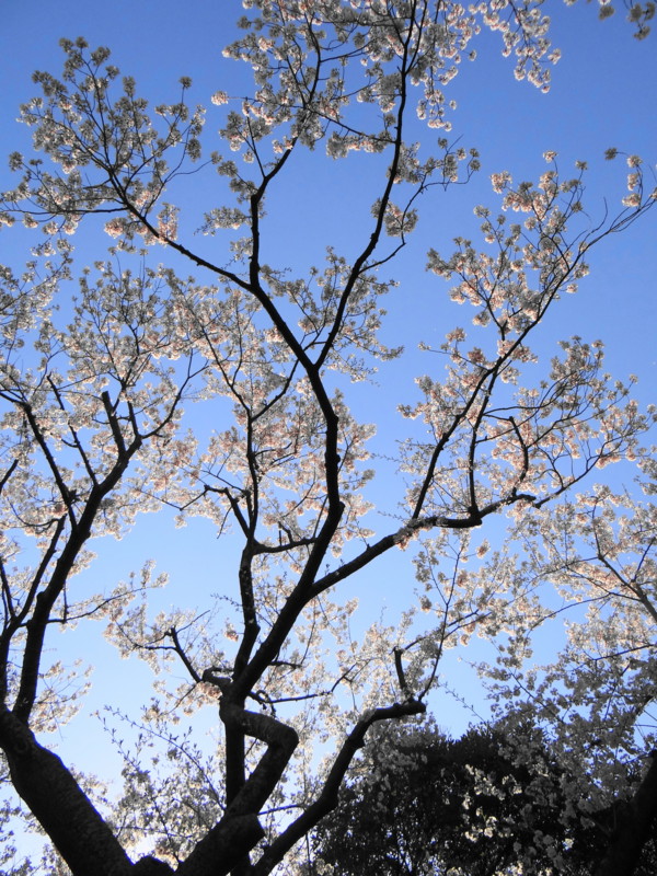 f:id:noir555:20120407205256j:image:w640